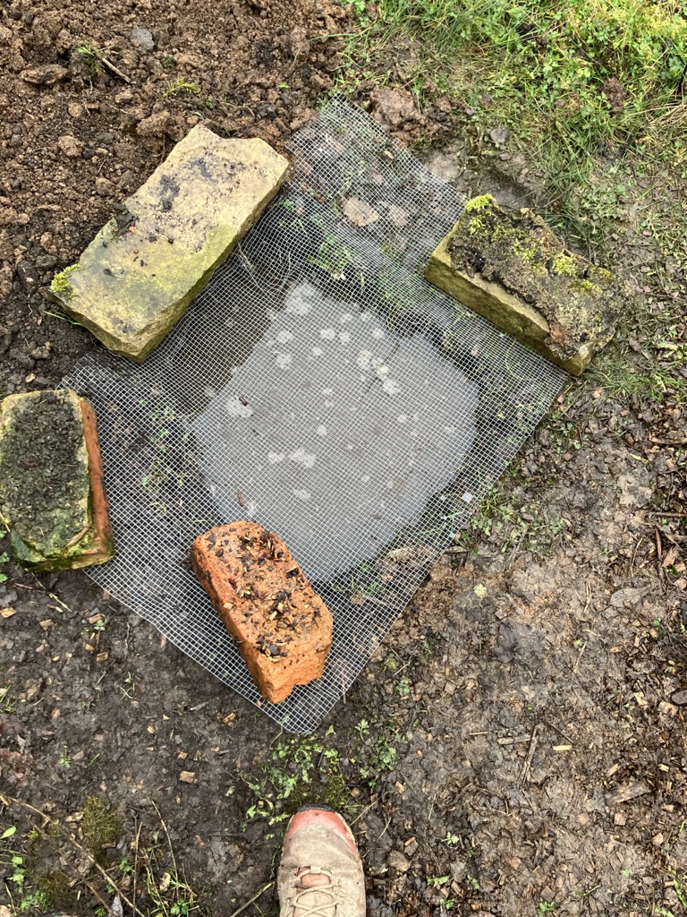 A hole in the ground filled with water and covered with a mesh screen weighted down with house bricks